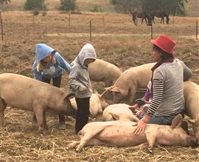 Springview Eco-Farm - Great Ocean Road Tourism 2