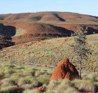 Camel Trail Millstream-Chichester National Park - Great Ocean Road Tourism