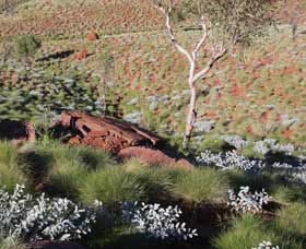 Camel Trail, Millstream-Chichester National Park - Great Ocean Road Tourism 2