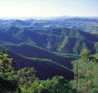 Kroombit Tops National Park - Great Ocean Road Tourism