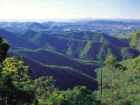 Kroombit Tops National Park - Great Ocean Road Tourism 0