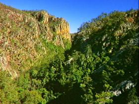 Kroombit Tops National Park - Great Ocean Road Tourism 2