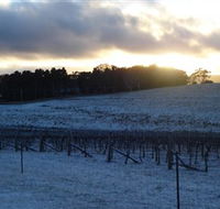 Charles Sturt University Winery - Great Ocean Road Tourism