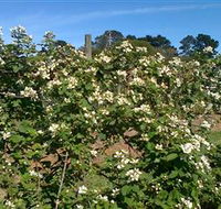 Huntley Berry Farm - Great Ocean Road Tourism