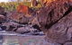Auburn River National Park - thumb 1