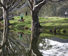 Albury - Murray River Precinct - Great Ocean Road Tourism 3