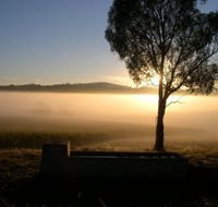 Patina Wines - Great Ocean Road Tourism