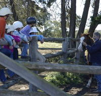 Harlow Park Horse Riding - Great Ocean Road Tourism
