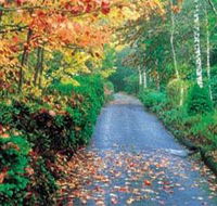 Mount Wilson and Mount Irvine - Great Ocean Road Tourism