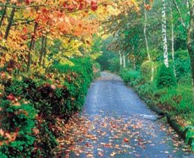 Mount Wilson And Mount Irvine - Great Ocean Road Tourism 0