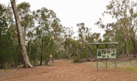 Little Llangothlin Picnic Area - Great Ocean Road Tourism 2