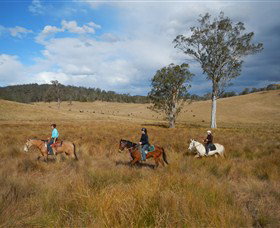 Chapman Valley Horse Riding - Great Ocean Road Tourism 0