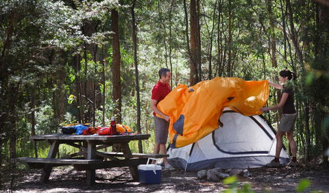 Bald Rock National Park - Great Ocean Road Tourism 1