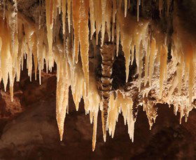 Wombeyan Caves - Great Ocean Road Tourism 1