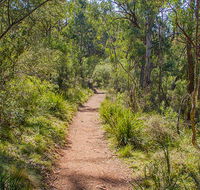 Mares Forest Creek walking track - Great Ocean Road Tourism