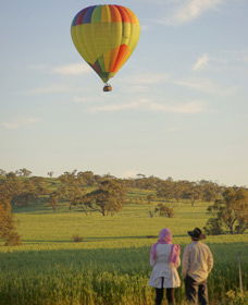 Avon Valley National Park - Great Ocean Road Tourism 1