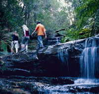 South Lawson Waterfall Circuit - Great Ocean Road Tourism