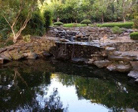 Bundaberg Botanic Gardens And Playground - Great Ocean Road Tourism 1
