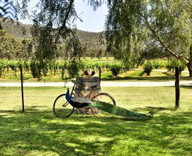 Stomp! Wines - Great Ocean Road Tourism 3