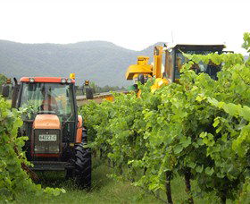 Stomp! Wines - Great Ocean Road Tourism 8