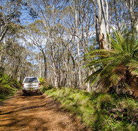 Barrington trail - Great Ocean Road Tourism