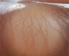 Bargara Beach - Great Ocean Road Tourism 1