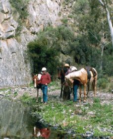 Yarramba Horse Riding - Great Ocean Road Tourism 0