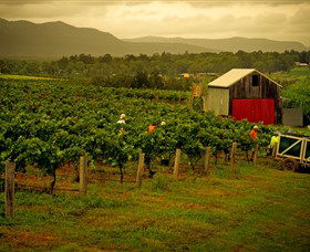 Around Hermitage Wine And Food Trail Hunter Valley - Great Ocean Road Tourism 0