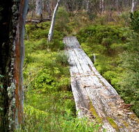 Gloucester Tops circuit - Great Ocean Road Tourism