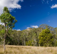 Brush Turkey track - Great Ocean Road Tourism