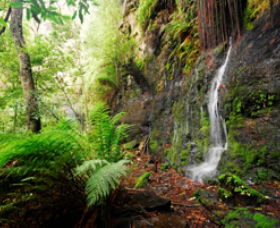 Fairy Bower Falls - Great Ocean Road Tourism 0