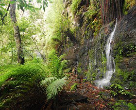 Fairy Bower Falls - Great Ocean Road Tourism 2