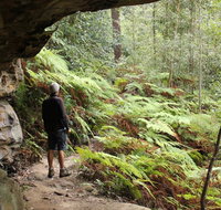 Dharug National Park - Great Ocean Road Tourism