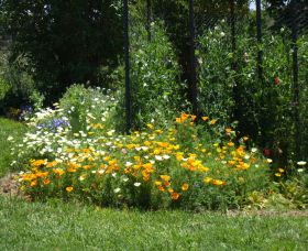 Back O The Moon - Great Ocean Road Tourism 2