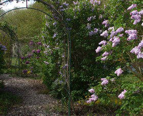 Back O The Moon - Great Ocean Road Tourism 4