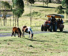 Calmsley Hill City Farm - Great Ocean Road Tourism 0