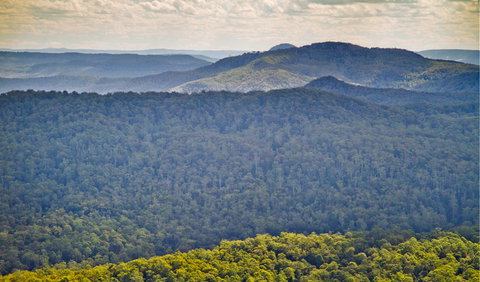 Murray Scrub Lookout - Great Ocean Road Tourism 1