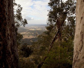 Heaton State Forest - Watagan Mountains - Great Ocean Road Tourism 1