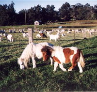 Trudgalong Farm - Great Ocean Road Tourism