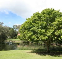 Hervey Bay Botanic Gardens - Great Ocean Road Tourism