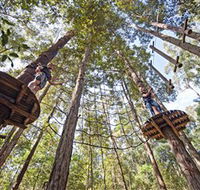 TreeTop Adventure Park Central Coast - Great Ocean Road Tourism