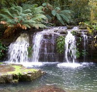 Barrington Tops National Park Walks - Great Ocean Road Tourism