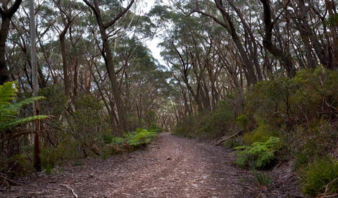 Budawang National Park - Great Ocean Road Tourism 0