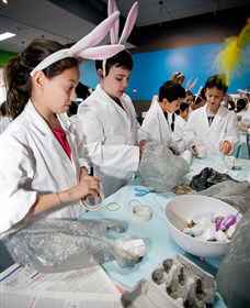 Australian Nuclear Science And Technology Organisation - Great Ocean Road Tourism 1