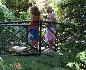 EG Waterhouse National Camellia Garden - Great Ocean Road Tourism 0