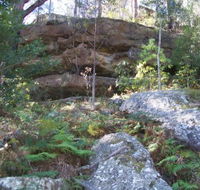 Bens Walk - Great Ocean Road Tourism