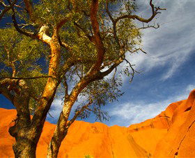The Artery Aboriginal Art - Great Ocean Road Tourism 2