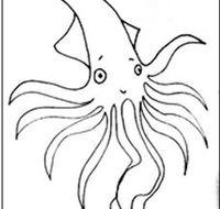 Squid Studio - Great Ocean Road Tourism