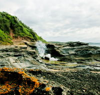 Glenrock State Conservation Area - Great Ocean Road Tourism