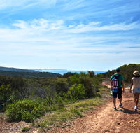 Moonee Beach trail - Great Ocean Road Tourism